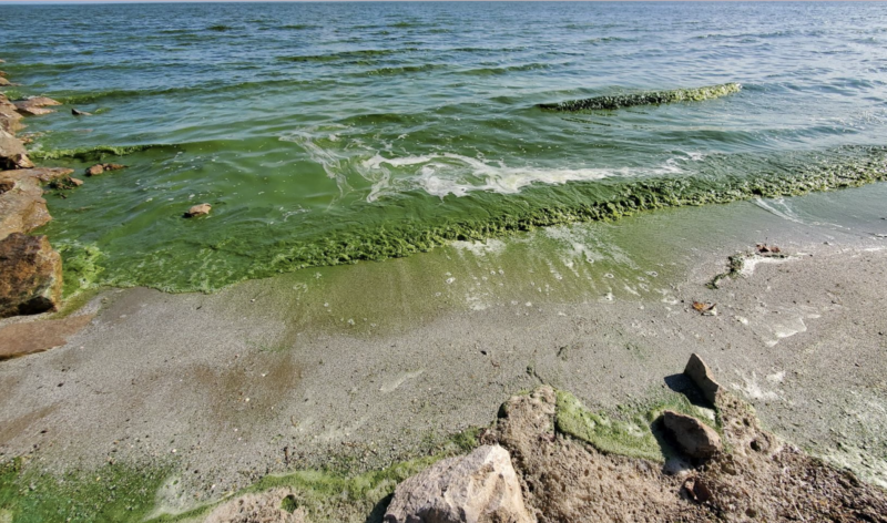 Predicting Lake Erie’s harmful algal blooms months before they appear